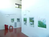 Exposition pédagogique - L'Arbre et la forêt