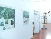 Exposition pédagogique - L'Arbre et la forêt